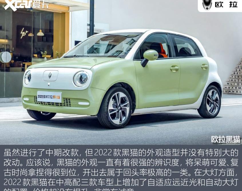 欧拉,MINI,欧拉黑猫