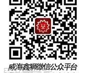 标致,东风,标致408,圆梦