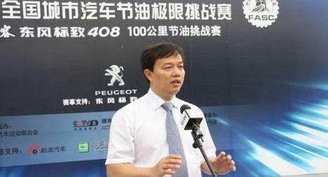 标致,东风,标致408,理念,宝马