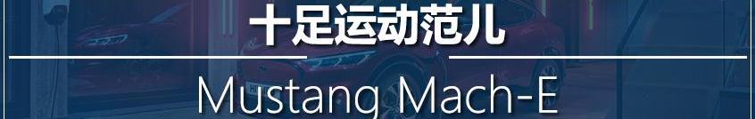 Mustang,现代,Model Y,福特,特斯拉