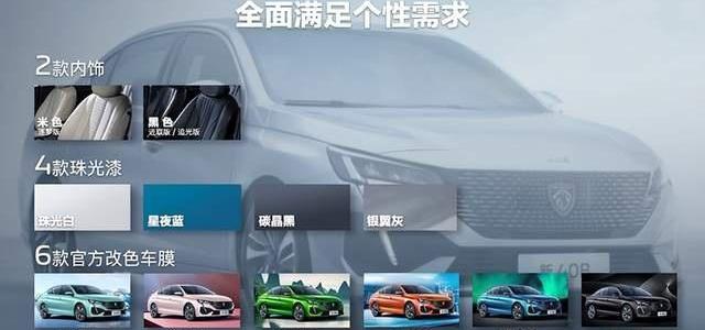 轩逸,东风,标致,日产,DS
