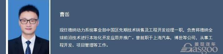 DS,福特,福克斯,特斯拉
