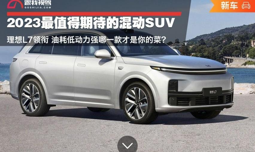 魏牌,理想L7,蓝山DHT-PHEV,皓影,理想L8