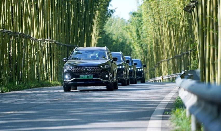 拿铁DHT-PHEV,拿铁DHT,魏牌,摩卡,摩卡DHT-PHEV