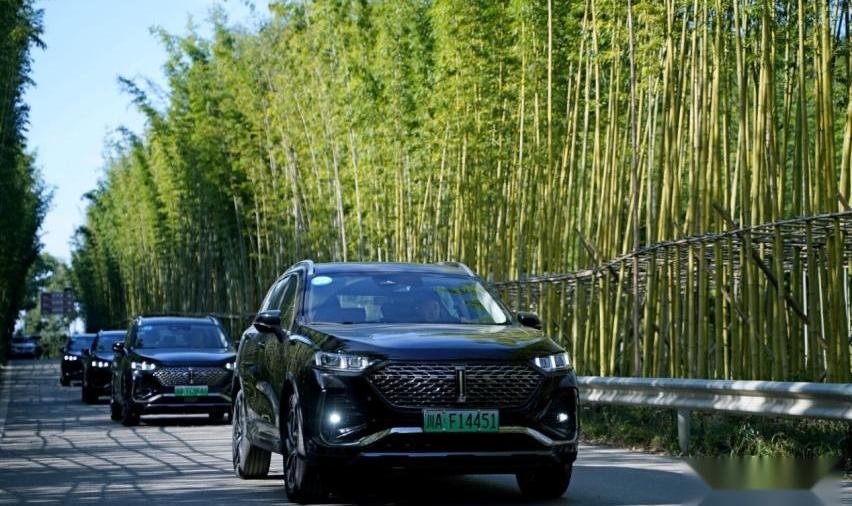 拿铁DHT-PHEV,拿铁DHT,魏牌,摩卡,摩卡DHT-PHEV