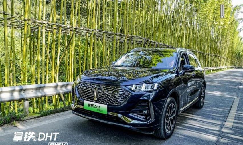 拿铁DHT-PHEV,拿铁DHT,魏牌,摩卡,摩卡DHT-PHEV