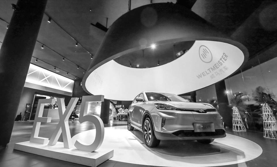 威马汽车,特斯拉,大众,威马EX5,北京