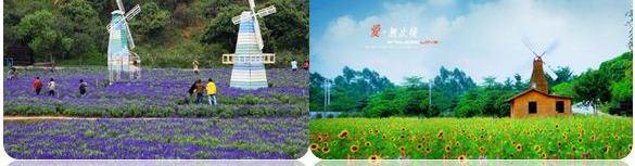 宝马,元宝,优越