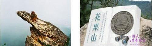 九龙,曼,777