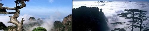 宝马