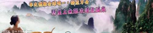 本田,东风