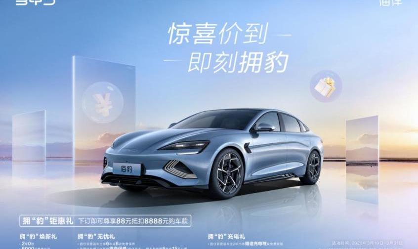 比亚迪,海豹,特斯拉,海鸥