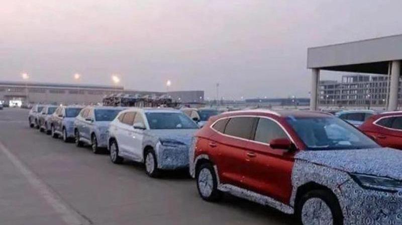 海豹,比亚迪