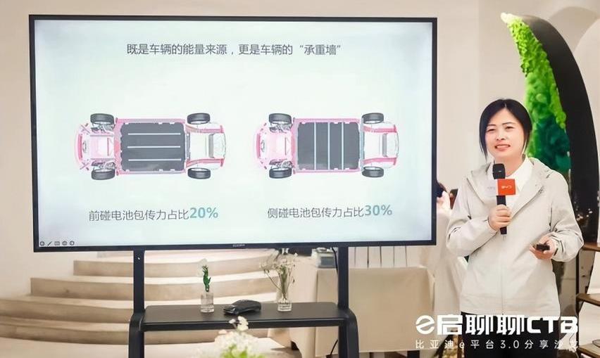 比亚迪,海豹,海豚