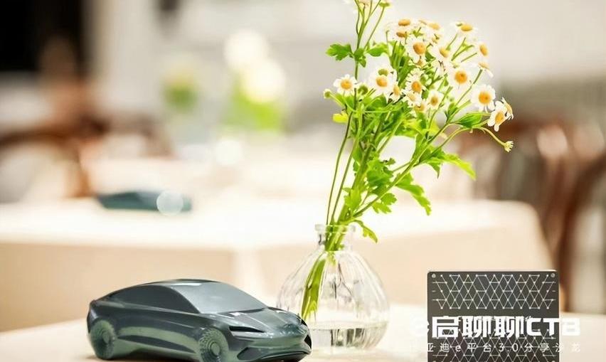 比亚迪,海豹,海豚