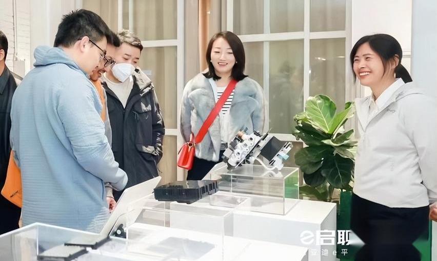比亚迪,海豹,海豚