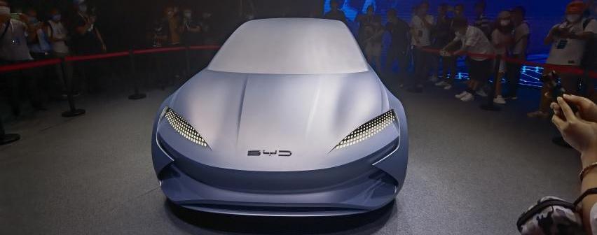 比亚迪,海豹,汉,海豚,Model 3