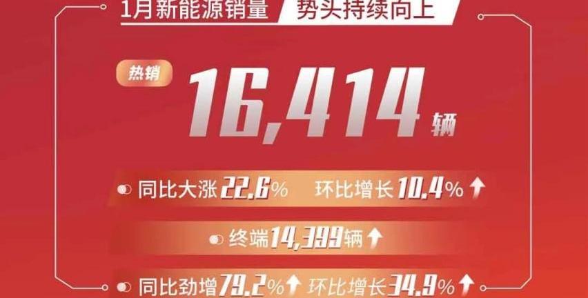 埃安,比亚迪,荣威,飞凡汽车,极氪