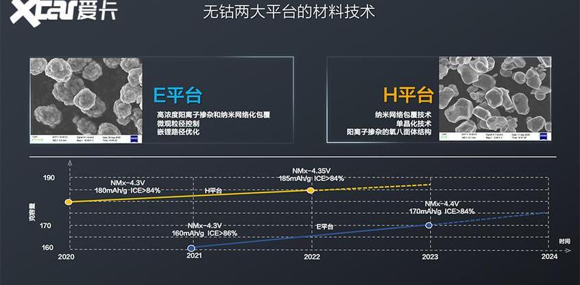 特斯拉,宝马,比亚迪,宝马iX3,红旗