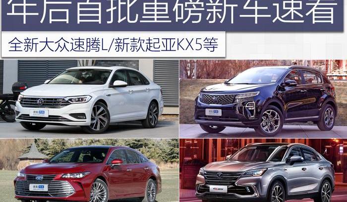 标致,标致508L,长安,大众,速腾