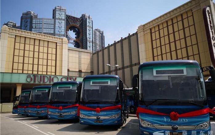 金龙,金旅,安凯客车,东风,江铃