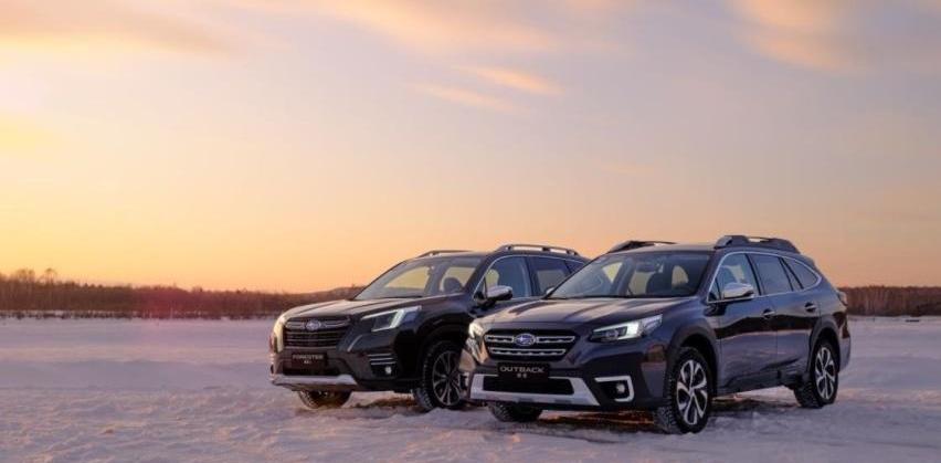 宝马,奥迪,Model Y,奥迪A8,雷克萨斯
