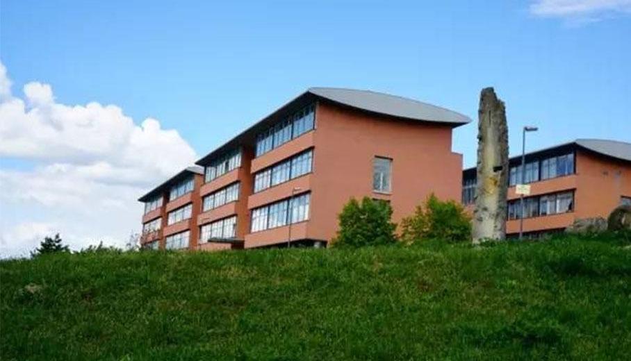 宝马,大众,奥迪,宝马5系,斯柯达