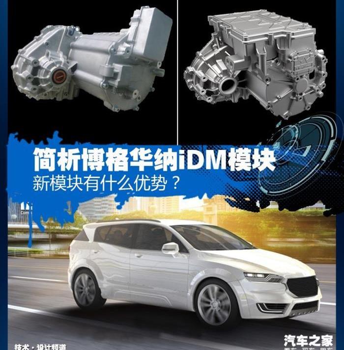 发现,长城,欧拉,特斯拉,现代