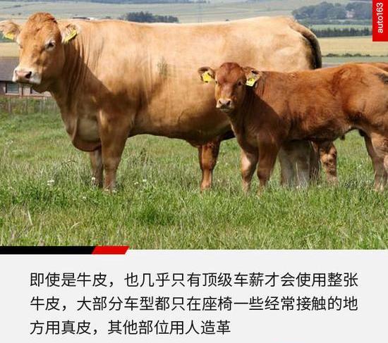 宝马,奔驰,奥迪,世纪,雷克萨斯