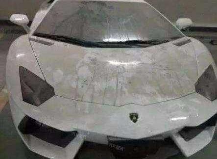 宝马,保时捷,保时捷911,宝马Z4,捷豹