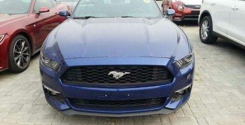 福特,Mustang,路虎