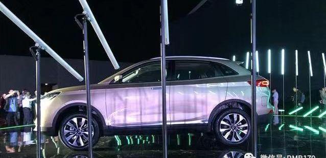 特斯拉,威马汽车,宝马,保时捷,Model X