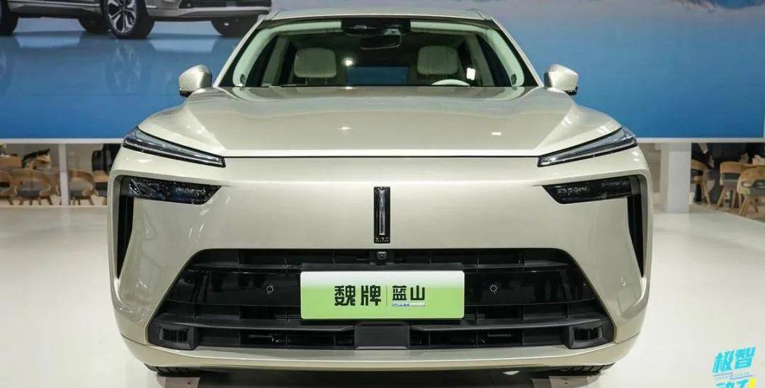 岚图追光,别克,智己LS7,Electra,魏牌