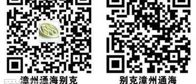 昂科威,汉,别克,DS