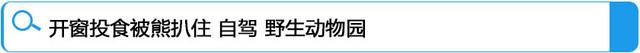 路虎,别克,昂科威,金杯,大众