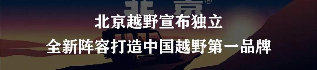 大众,发现