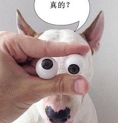 别克,昂科威,汉兰达,汉,胜达