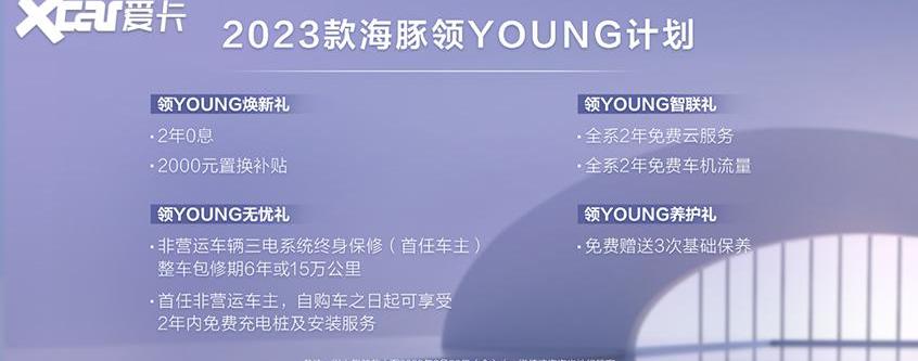 海豚,比亚迪,仰望