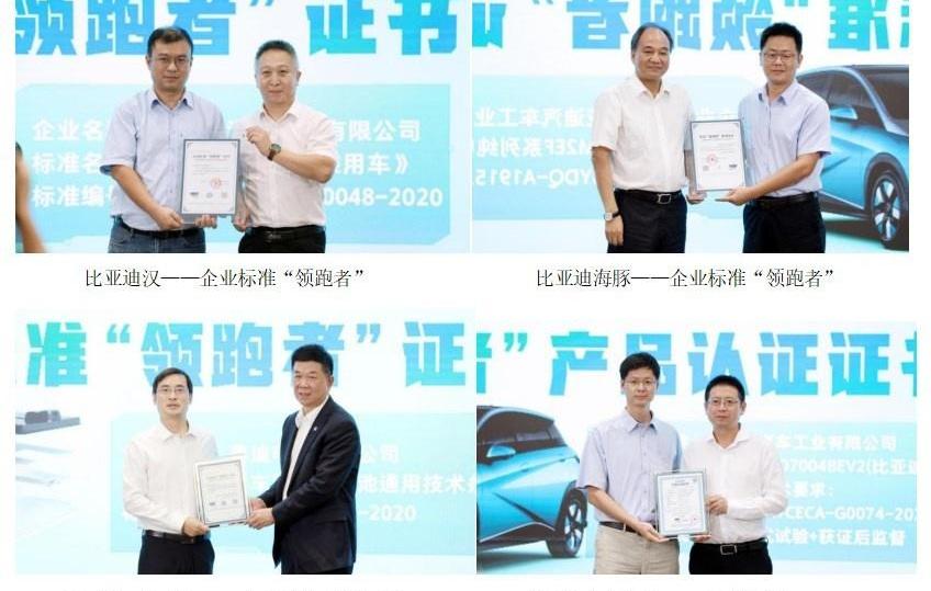 比亚迪,理念,海豚,汉