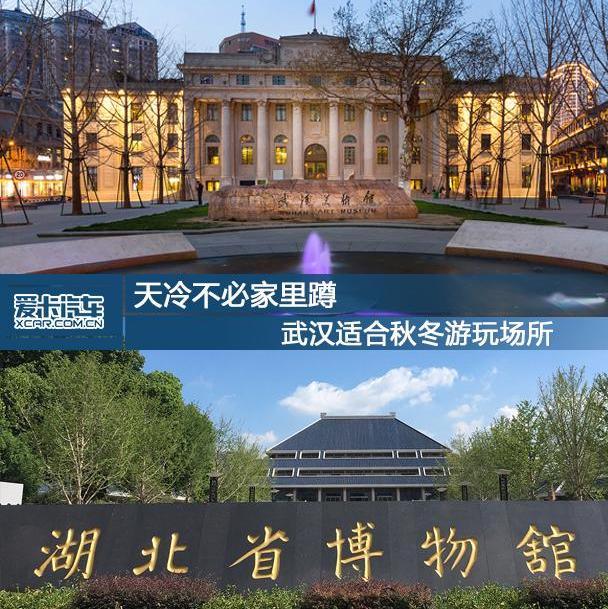 汉,现代,鲸,世纪,海豚