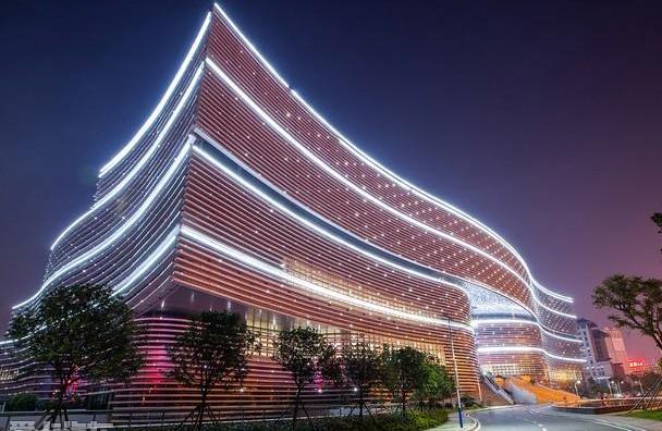 汉,现代,鲸,世纪,海豚