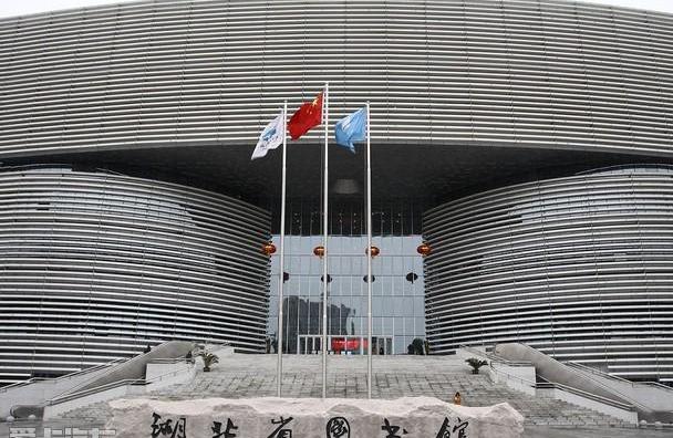 汉,现代,鲸,世纪,海豚