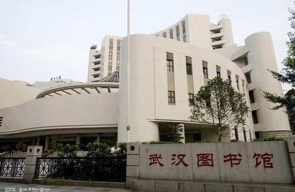 汉,现代,鲸,世纪,海豚
