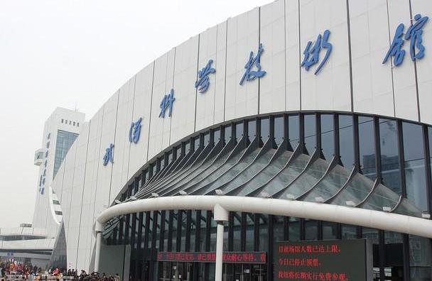 汉,现代,鲸,世纪,海豚