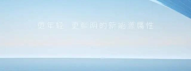 比亚迪,驱逐舰05,海豚