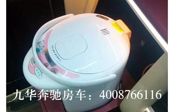 奔驰,海豚