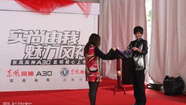 东风,东风风神,理念,海豚,大发