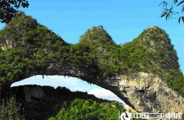 海豚