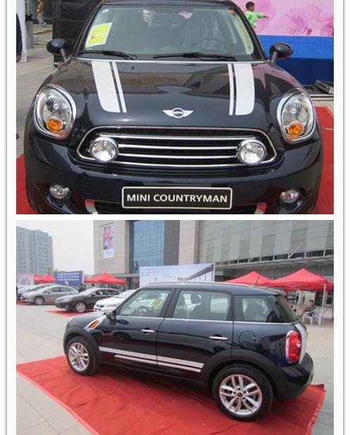 MINI,海豚,MINI COUNTRYMAN