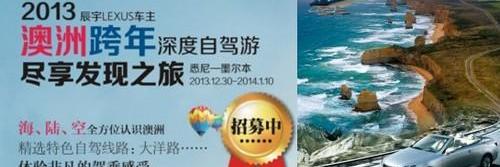 海豚,雷克萨斯,发现,鲸,海豹